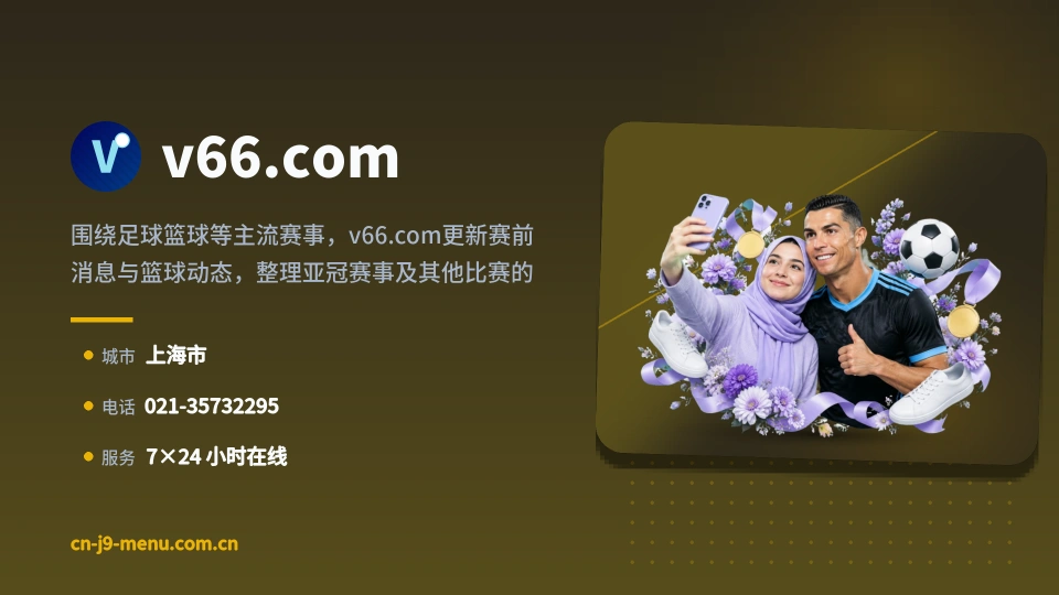v66.com简介